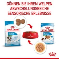 Royal Canin Mini Puppy In Soße -Günstiges Futter Leine Geschäft rc spt wet minipuppy cv 4 de de 4