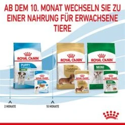 Royal Canin Mini Puppy In Soße -Günstiges Futter Leine Geschäft rc spt wet minipuppy cv 8 de de 6
