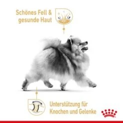 Royal Canin Pomeranian Adult Mousse 10 Royal Canin Pomeranian Adult Mousse -Günstiges Futter Leine Geschäft rc spt wet pomad cv 1 de de 6