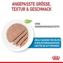 Royal Canin Starter Mother & Babydog Ultra Soft Mousse 16 Royal Canin Starter Mother & Babydog Ultra Soft Mousse -Günstiges Futter Leine Geschäft rc spt wet startermousse can cv 2 de de 0