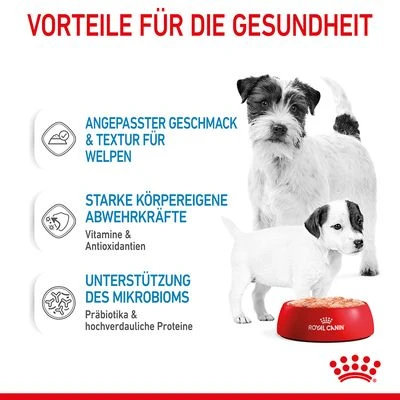 Royal Canin Starter Mother & Babydog Ultra Soft Mousse 7 Royal Canin Starter Mother & Babydog Ultra Soft Mousse – Bild 5