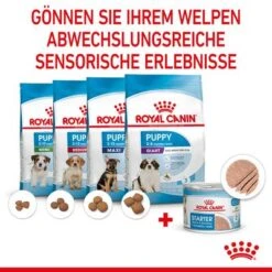 Royal Canin Starter Mother & Babydog Ultra Soft Mousse 18 Royal Canin Starter Mother & Babydog Ultra Soft Mousse -Günstiges Futter Leine Geschäft rc spt wet startermousse can cv 4 de de 1