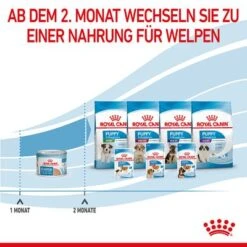 Royal Canin Starter Mother & Babydog Ultra Soft Mousse 21 Royal Canin Starter Mother & Babydog Ultra Soft Mousse -Günstiges Futter Leine Geschäft rc spt wet startermousse can cv 8 de de 0