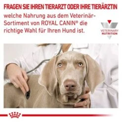 Royal Canin Veterinary Canine Cardiac -Günstiges Futter Leine Geschäft rc vdi cardiacdry cv eretailkit 9 de de 0