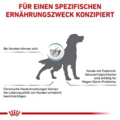 Royal Canin Veterinary Canine Anallergenic 15 Royal Canin Veterinary Canine Anallergenic -Günstiges Futter Leine Geschäft rc vet dry dogana cv eretailkit 7 de de 4