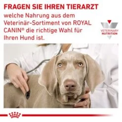 Royal Canin Veterinary Canine Anallergenic Small Dog -Günstiges Futter Leine Geschäft rc vet dry doganasd cv eretailkit 6 de de 3
