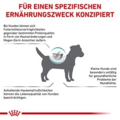Royal Canin Veterinary Canine Anallergenic Small Dog -Günstiges Futter Leine Geschäft rc vet dry doganasd cv eretailkit 7 de de 2