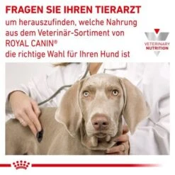 Royal Canin Veterinary Canine Urinary U/C 12 Royal Canin Veterinary Canine Urinary U/C -Günstiges Futter Leine Geschäft rc vet dry dogdiabetic cv eretailkit 8 de de 1