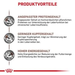 Royal Canin Veterinary Canine Hepatic -Günstiges Futter Leine Geschäft rc vet dry doggastrohep cv eretailkit 4 de de 5