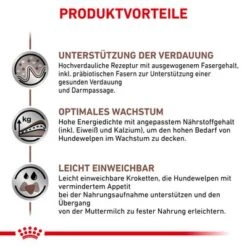 Royal Canin Veterinary Gastrointestinal Puppy 13 Royal Canin Veterinary Gastrointestinal Puppy -Günstiges Futter Leine Geschäft rc vet dry doggastropu cv eretailkit 4 de de 9