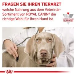 Royal Canin Veterinary Canine Hypoallergenic -Günstiges Futter Leine Geschäft rc vet dry doghypo cv eretailkit 7 de de 5