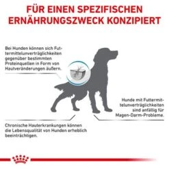 Royal Canin Veterinary Canine Hypoallergenic -Günstiges Futter Leine Geschäft rc vet dry doghypo cv eretailkit 8 de de 7