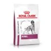 Royal Canin Veterinary Canine Renal -Günstiges Futter Leine Geschäft rc vet dry dogrenal mv eretailkit de de 5