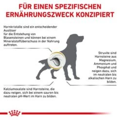 Royal Canin Veterinary Canine Urinary S/O -Günstiges Futter Leine Geschäft rc vet dry dogurinaryso cv eretailkit 8 de de 1
