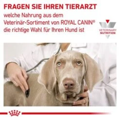 Royal Canin Veterinary Canine Satiety Weight Management Mousse -Günstiges Futter Leine Geschäft rc vet wet dogmobilityloaf400 cv eretailkit 7 de de 5