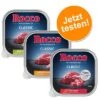 Rocco Probiermix 9 X 300 G 2 Rocco Probiermix 9 X 300 G -Günstiges Futter Leine Geschäft rocco classic schale 3sorten bundle 6
