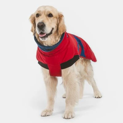 Nomad Tales Bloom Hundemantel Sunsetneu 8 Nomad Tales Bloom Hundemantel Sunsetneu – Bild 6