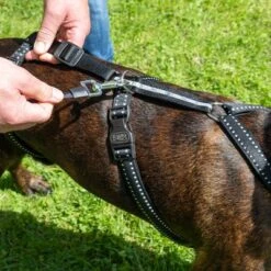 TIAKI Sicherheitsgeschirr Reflectneu -Günstiges Futter Leine Geschäft tiaki safety harness reflect mit hunden fg 3569 3