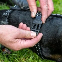 TIAKI Sicherheitsgeschirr Reflectneu -Günstiges Futter Leine Geschäft tiaki safety harness reflect mit hunden fg 3602 7