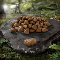 2 X 12 Kg Wolf Of Wilderness Trockenfutter "Elements" - Getreidefrei 15 2 X 12 Kg Wolf Of Wilderness Trockenfutter "Elements" - Getreidefrei -Günstiges Futter Leine Geschäft wow adult monoprotein elements fiery volcanoes lamm 752928 0 15 17 mm 5