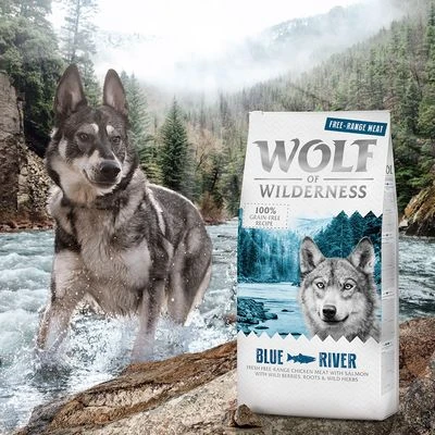 2 X 12 Kg Wolf Of Wilderness Trockenfutter - Getreidefrei - Mit Freiland-Fleisch 7 2 X 12 Kg Wolf Of Wilderness Trockenfutter - Getreidefrei - Mit Freiland-Fleisch – Bild 5