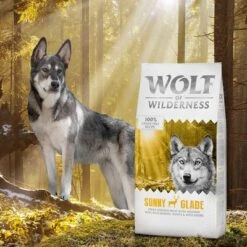 2 X 12 Kg Wolf Of Wilderness Trockenfutter - Getreidefrei -Günstiges Futter Leine Geschäft wow classic sunnyglade 12kg 0