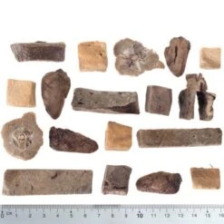 Wolf Of Wilderness - Premium Snack Adventskalender (getreidefrei) -Günstiges Futter Leine Geschäft wow raw mixed fg 5427 2