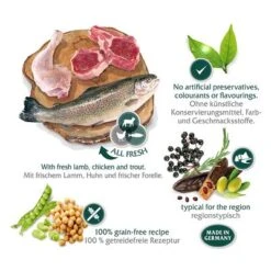 2 X 12 Kg Wolf Of Wilderness "The Taste Of" - Getreidefrei -Günstiges Futter Leine Geschäft wow regions mediterranean marketingboard 8