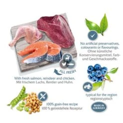 2 X 12 Kg Wolf Of Wilderness "The Taste Of" - Getreidefrei -Günstiges Futter Leine Geschäft wow regions scandinavia marketingboard 4