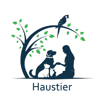 Günstiges Futter Leine Geschäft