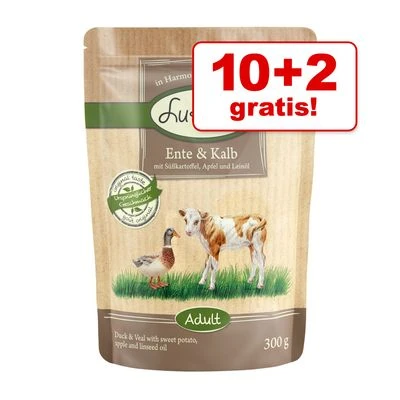 Günstiges Futter Leine Geschäft -Günstiges Futter Leine Geschäft 2